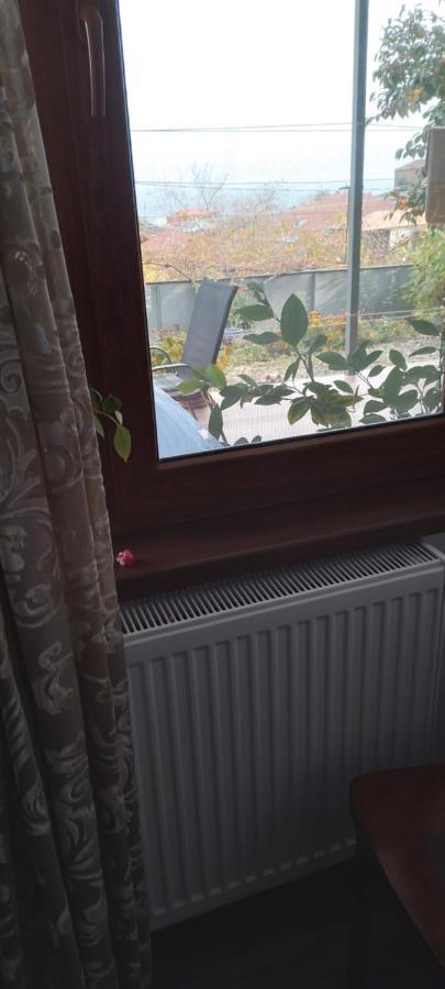 Appartement Giorgi In Sighnaghi
